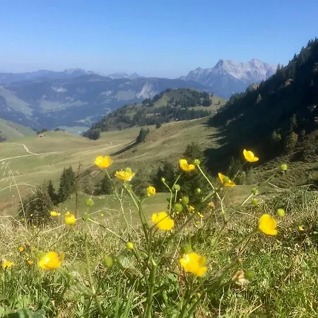 Metzgerwirt Hotel Kirchberg in Tirol