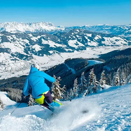 Metzgerwirt Hotel 4*