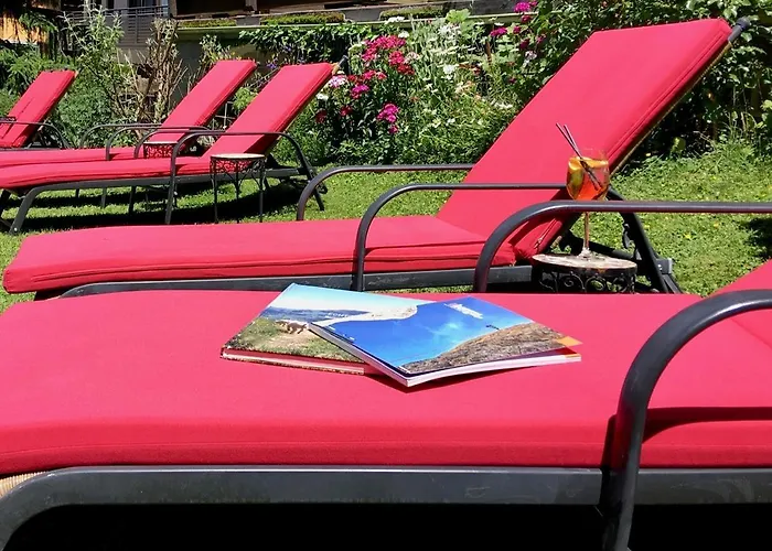 호텔 Metzgerwirt 4*